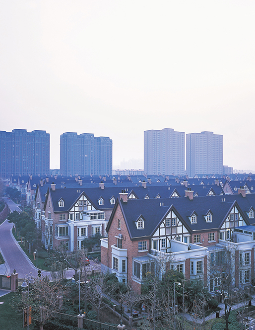 ֣����������