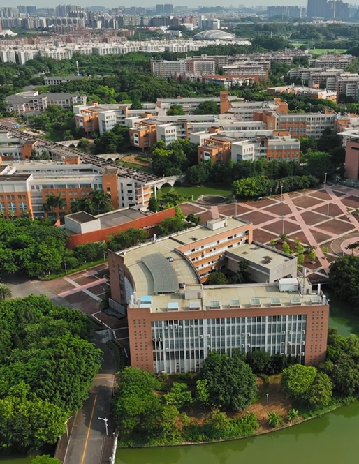 �㶫������ó��ѧ